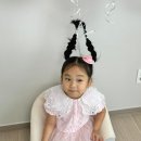 투윤 | 5살 여자아이 생일이벤트, 투윤플레르 헬륨풍선 주문후기🎈