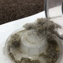 버블버블(클린세탁) 이미지