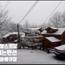 별그리고펜션 이미지