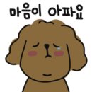 애잘린 이미지