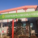 안양축협축산물유통사업장