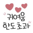 멘사보드게임 이미지