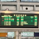 월소정34 | 🌊묵호여행(with BFF💕)