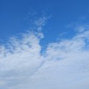 디자인풀 이미지