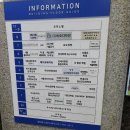 하남미사 서울 홍 피부과 내돈내산 솔직후기