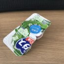 도쿄 어학연수 D+6~12