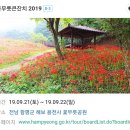 9월 20일. 한국의 탄생화와 부부사랑 / 석산 (꽃무릇) 이미지