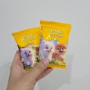 미니펫 | 리온이네 강아지물티슈 마스코타 미니펫티슈 사용 후기