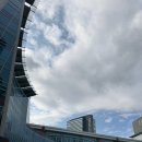 250602_일상의 인상