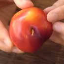 누구나 쉽게 만드는 영양떡 이미지