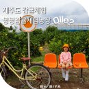 봉봉이 놀이터 | 제주 10월 감귤체험 카페 제주도 동쪽 감귤체험 봉봉감귤체험농장