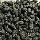 규형농장 이미지