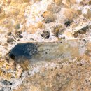 폰드(FOND) | [몰타 여행 후기] 슬리에마 비치, 폰드 가디르 비치