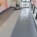 핑크강아지 이미지