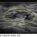 맑은유영상의학과의원 이미지