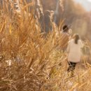 풀문펜션 이미지