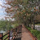 남산골약수터 이미지