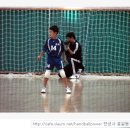 원종초 이미지