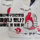 꿈에도못잊을닭