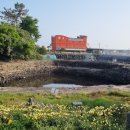 앞개포구 이미지