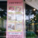 춘천 떡케이크맛집 손정화떡케이크 방문 후기