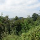 노적봉사거리 이미지