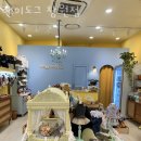 헤이도그 | 창원 대원동 애견샵, 펫샵 헤이도그 창원점 방문후기로 본 분양추천 업체