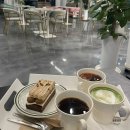 흥대길 | 원주, 한라대예쁜카페 &#39;카페투파인&#39; 말차러버 보늬밤티라미수 후기