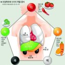 색깔을 통해 본 인체 - 당신을 나타내는 색깔은 무엇입니까? 이미지