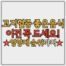 (주)동진제약 | 고지혈증에 좋은 음식과 증상에 따른 영양제 추천 순위 TOP5까지 정리!