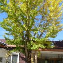 은행보건진료소 이미지