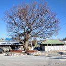 주봉3리(서당) 이미지