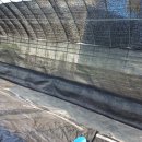 강선목장 이미지