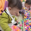 후석로 | 춘천 엔타(농협) 문화센터 오감놀이 겨울학기 마무리! 내돈내산솔직후기