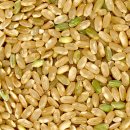 살구나무한의원 이미지