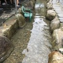 두메산골식당 이미지