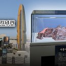 용산 전쟁기념관도 독도 철거‥"진짜 뭐가 있나" 발칵 이미지