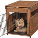 원흥동물의료센터 이미지