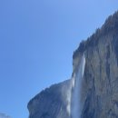 노이하우스 이미지