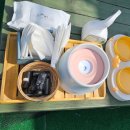 오늘하루 애견 동반 스파펜션 이미지