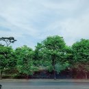 스테이550 이미지