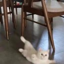 이서식당