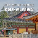 금강루 | 5월 강원도 여행지 추천 평창 여름 여행 코스 가볼만한곳 월정사 오대산 전나무숲길 주차정보 후기