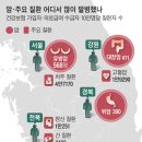 경북 위암, 강원 대장암 환자 최다… 전남은 간암·폐암 이미지