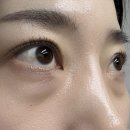 한올 | <한올,그리다> 용현동속눈썹 방문 후기