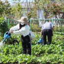 다산농원 이미지