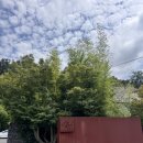 검단힐스테이트5차아파트경로당 | [인천/검단] 애견동반하기 좋은 느좋카페 서원안길 내돈내산 후기