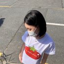 멋쟁이 | 위드썸 &#39;나는 멋쟁이 토마토 🍅🎵&#39; 티셔츠 후기