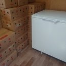 고흥자동차학원