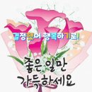 출석부~경기방 2023년3월8일(수요일)옥수수대의 효능 이미지